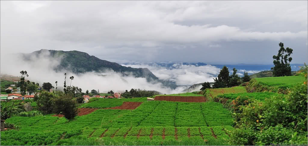 ooty hill station