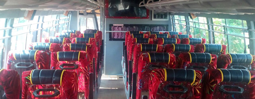 55 Seater Bus