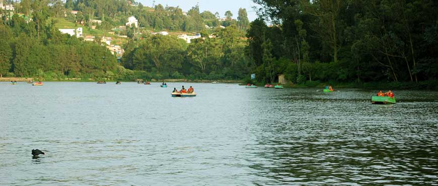 ooty lake