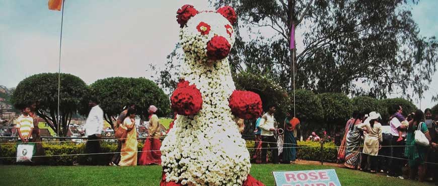 ooty rose garden